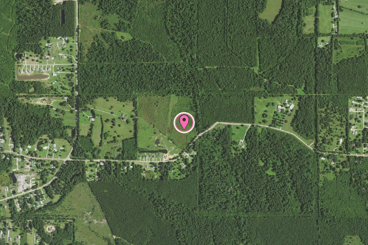 Map of Walker, Louisiana with a pin on Happy Tails Grooming Co. on Varnado Road